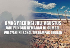 Siaga Karhutla! BMKG Prediksi Juli-Agustus Jadi Puncak Kemarau di Sumsel, Wilayah Ini Bakal Terdampak Duluan