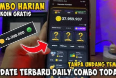 Combo Harian Hamster Kombat 10 Agustus 2024, Jutaan Koin Gratis Menantimu, Klaim Sekarang!