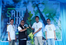 Komitmen Lingkungan Injourney Airports, Program Alam Lestari Hadirkan Penanaman 4.920 Pohon di Bandara SMB II