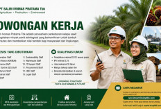 Disnakertrans Muba Umumkan Loker di PT Salim Ivomas Pratama Tbk, Cek Syarat dan Cara Daftar