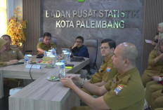 Diskon Tarif Listrik Dorong Deflasi di Palembang, BPS Catat Penurunan Harga yang Signifikan