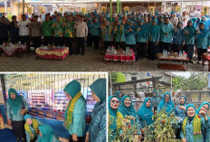 BUKAN KALENG-KALENG! Desa Banjarsari Bawa Nama Lahat ke Level Sumsel, Hal Ini Buat Tim Evaluasi PKK Ter