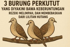 3 Burung Perkutut yang Diyakini Bawa Keberuntungan, Rezeki Melimpah, dan Membebaskan dari Lilitan Hutang