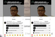 Polling Kinerja Pj Bupati Lahat, Ini Reaksi Netizen