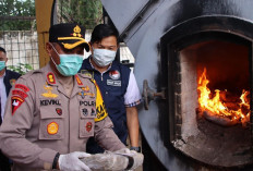 Sebanyak 35,47 Kg Ganja Kering Dimusnahkan Polres OKU Timur, Bagaimana Caranya?