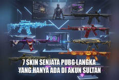 7 Skin Senjata PUBG Langka yang Hanya Ada di Akun Sultan