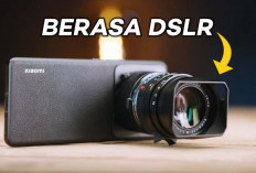 6 Rekomendasi HP dengan Kamera Telephoto Terbaik, Harga Murah di Oktober 2024!