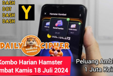 SUDAH KELUAR! Kombo Harian Hamster Kombat Kamis 18 Juli 2024, Peluang Ambil 1 Juta Koin, Buruan Klik!