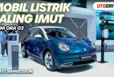 Kupas Tuntas Kelebihan dan Kekurangan Ora Good Cat, Bikin Banyak Orang Kepincut, Tapi Masih Ada PR!