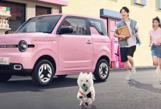 Pesona Geely Panda Mini 2025, Mobil Listrik Mungil yang Hemat dan Stylish!