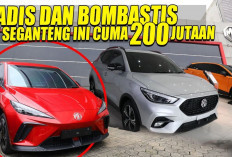 4 Pilihan Mobil Listrik Terbaik dengan Harga di Bawah Rp 200 Juta Tahun 2025!