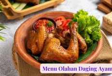 Menu Olahan Daging Ayam, Jadi Favorit Masakan Keluarga, Enaknya Pol