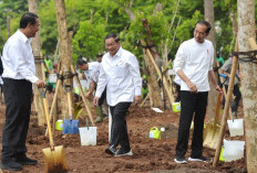Presiden Jokowi Ajak Masyarakat Tanam Pohon Serta Tegaskan Pembangunan IKN Ciptakan Pertumbahan Ekonomi