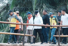 Jembatan Penghubung Desa Sukadami-Tanjung Lago Rusak, Wabup Netta Minta Segera Diperbaiki