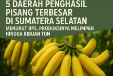5 Daerah Penghasil Pisang Terbesar di Sumatera Selatan Menurut BPS, Produksinya Melimpah Hingga Ribuan Ton