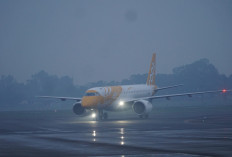 Resmi Mengudara Lagi! Scoot Hadirkan Rute Penerbangan Palembang–Singapura, Terbang 4 Kali Seminggu