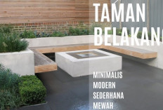 6 Desain Taman Minimalis Belakang Rumah, Ubah Lahan Sempit Jadi Spot Cozy Favorit untuk Me Time