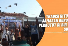 Misteri dan Makna Ritual Jamasan Burung Perkutut, Tradisi Kuno yang Masih Bertahan di Era Modern!