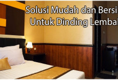 Solusi Murah Perbaiki Tembok Lembab dan Rembes Hanya dalam 5 Langkah