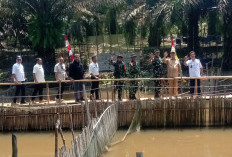 TMMD ke-128 Kodim 0405/Lahat Tingkatkan Gairah Ekonomi Warga Lubuk Tampang