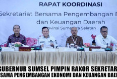 SIAP-SIAP! Selama 10 Hari dari 20 September 2024, Petugas SUSENAS Datangi 2.450 Rumah Tangga di Sumsel