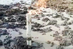 Semburan Gas  dan Lumpur Kejutkan Warga OKU Timur, Muncul Mendadak di Tengah Sawah