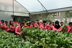 Beginilah Cara Bhayangkari Gabungan 06 Korps Brimob Polri Dukung Ketahanan Pangan