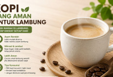 Daftar Kopi yang Aman untuk Lambung, Pilihan Tepat Penderita Maag