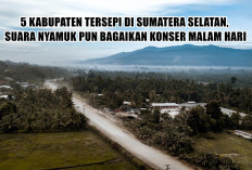Inilah 5 Kabupaten Tersepi di Sumatera Selatan, Saking Sunyinya, Suara Nyamuk Pun Bagaikan Konser Malam Hari