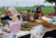 Vibesnya Jogja Banget, Makan di Tengah Sawah Jadi Teringat Kampung Halaman