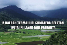 Bukan Palembang? Ini 5 Daerah Termaju di Sumatera Selatan, Kota Ini Layak Jadi Juaranya, Ada yang Tau?