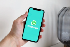 Cara agar WhatsApp Tak Bisa Ditelepon Tanpa Blokir Nomor HP, Mudah Kok!