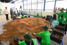 Mampu Produksi 10 Juta Bibit Gratis, Pusat Persemaian Sriwijaya Kemampo Resmi Beroperasi di Banyuasin
