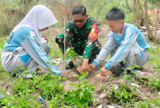 KOMPAK! Anggota TMMD ke-122 Kodim Lahat dan Siswa SMAN 1 Talang Padang Tanam Bibit Buahan