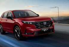 Kelebihan dan Kekurangan Honda CR-V Hybrid, Apa Saja yang Didapat Dengan Harga Rp 800 Juta?