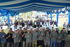 Pemkab Kepahiang bersama PLN Gelar Hiking dan Eksplorasi Geothermal WKP Kepahiang, Pengembangan Panas Bumi