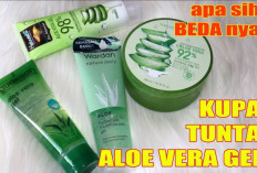 5 Rekomendasi Gel Aloe Vera Untuk Wajah Glowing, Bye Bye Kulit Kusam!