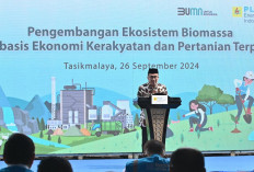 Pengembangan Biomassa PLN di Tasikmalaya: Dikelola Masyarakat dan Didukung Pemerintah