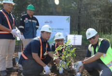 Peringati Hari Lingkungan Hidup Sedunia, Semen Baturaja Tanam Pohon di Area Reklamasi