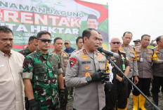 Turun Langsung Ke Program Penanaman Jagung Serentak, Ini Dilakukan Kapolda Sumsel