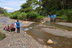 Bupati Lahat Terpilih Tinjau Bangunan DAM Irigasi Lingsing yang Rusak, Petani Berharap Perbaikan Cepat