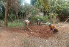 Sigap dan Siap, Anggota Satgas TMMD 128 Tengah Mengangkut Tanah Sasaran Fisik MCK, Ini Buktinya