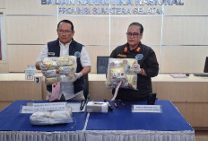BNNP Sumsel Gagalkan Peredaran Sabu Jaringan Malaysia-Palembang, Ini Jumlah Barang Bukti yang Diamankan