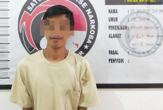 Polisi Amankan DPO Tindak Pidana Narkoboy di Ogan Ilir, Buron Sejak Februari 2025
