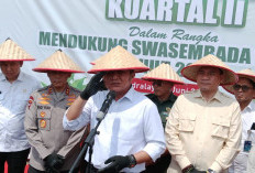 Mantap! Kapolres Ogan Ilir Dapat Pujian Gubernur Sumsel, Hasilkan 8 Ton Jagung Pipil di 1 Hektar Lahan