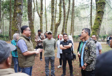 Kembangkan Potensi Pariwisata Kabupaten Lahat Pj Bupati dan Kepala OPD Kunjungi Daerah Dingin Ini