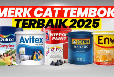 Anti Jamur! 7 Merk Cat Tembok Rumah Minimalis Terbaik 2025, Murah Berkualitas