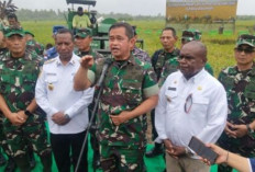 Dukung Ketahanan Pangan, Kasad Meninjau Pelaksanaan Berbagai Program Unggulan TNI AD di Marauke