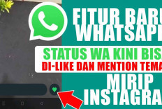 Fitur Baru WhatsApp, Status WA Kini Bisa Di-Like dan Mention Teman, Mirip Instagram