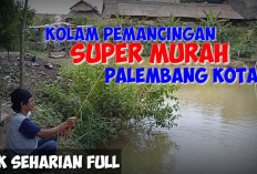 6 Tempat Pemancingan di Palembang yang Paling Hits, Cocok untuk Kamu yang Hobi Memancing!